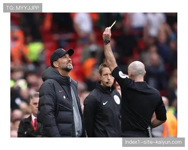 赫尔泽勒赛后谨慎回应判罚 避免言论不当遭英足总处罚 赫尔泽勒赛后谨慎回应判罚 避免言论不当遭英足总处罚